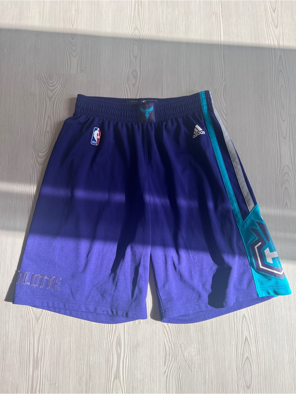 Adidas Charlotte Hornets Purple Men's Basketball Shorts